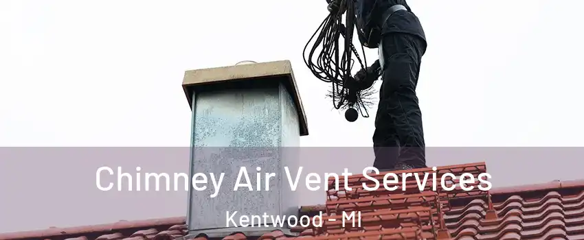  Chimney Air Vent Services Kentwood - MI