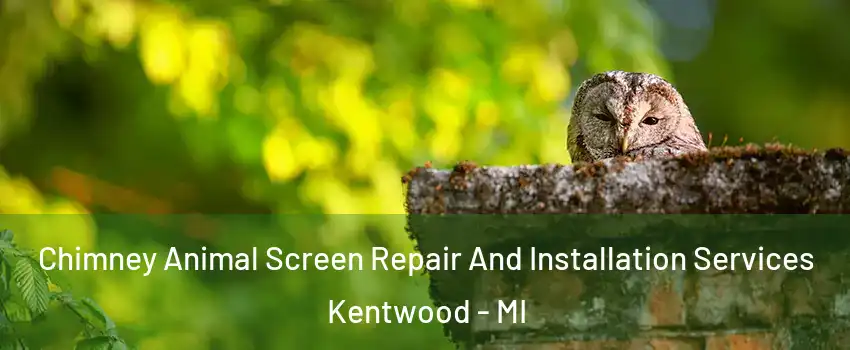  Chimney Animal Screen Repair And Installation Services Kentwood - MI