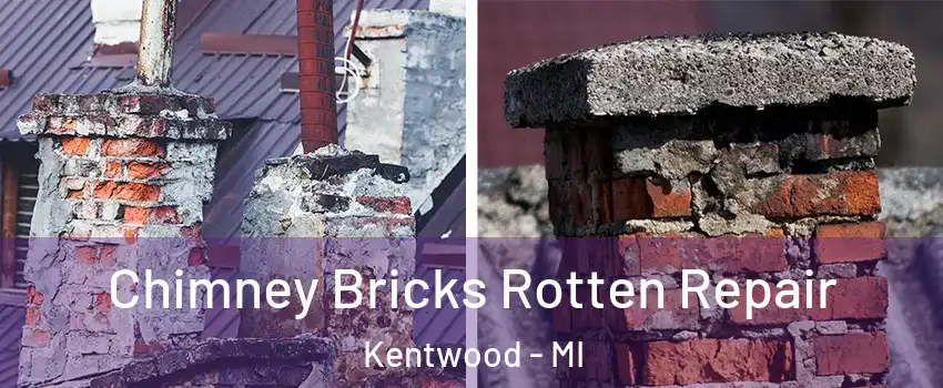  Chimney Bricks Rotten Repair Kentwood - MI