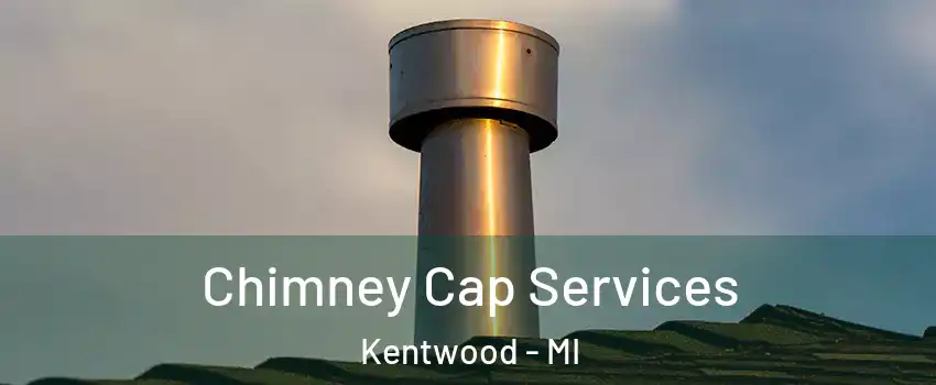  Chimney Cap Services Kentwood - MI