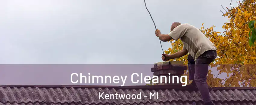  Chimney Cleaning Kentwood - MI