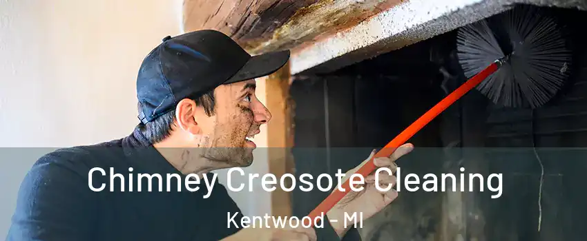  Chimney Creosote Cleaning Kentwood - MI