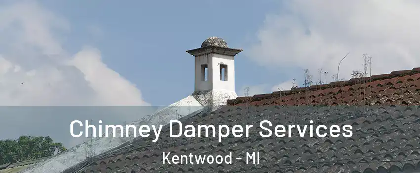  Chimney Damper Services Kentwood - MI