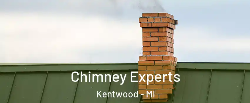 Chimney Experts Kentwood - MI