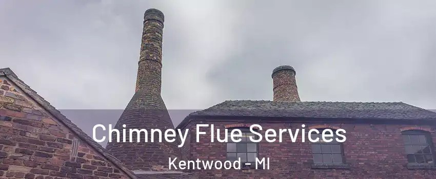  Chimney Flue Services Kentwood - MI