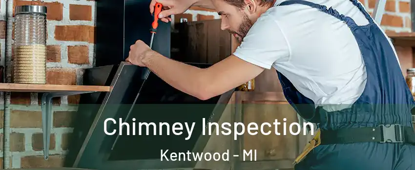  Chimney Inspection Kentwood - MI