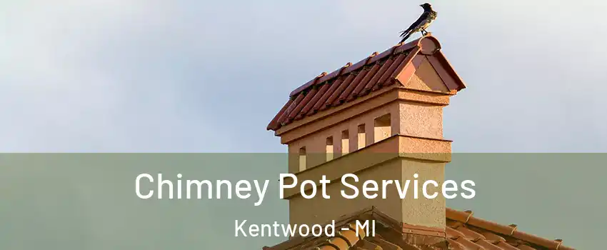  Chimney Pot Services Kentwood - MI