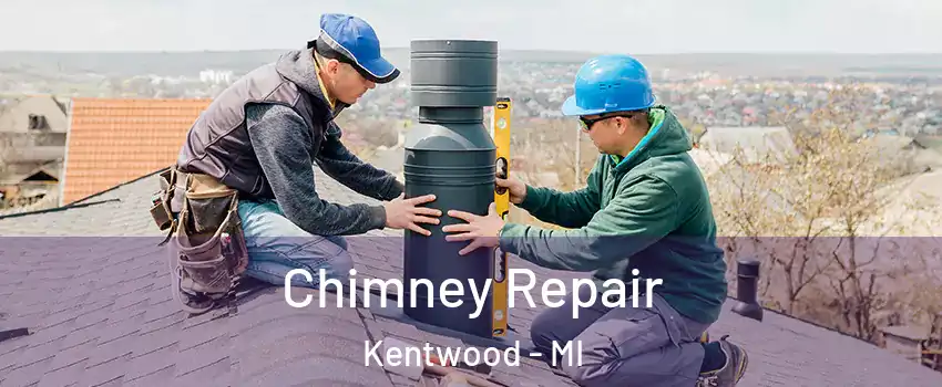  Chimney Repair Kentwood - MI