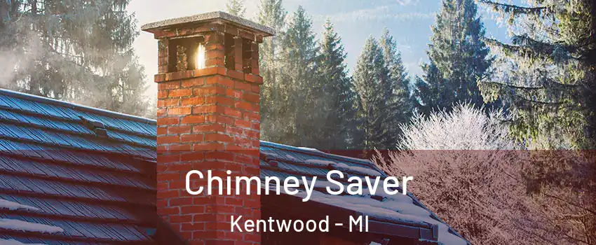  Chimney Saver Kentwood - MI