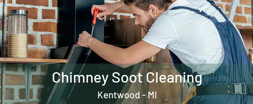  Chimney Soot Cleaning Kentwood - MI