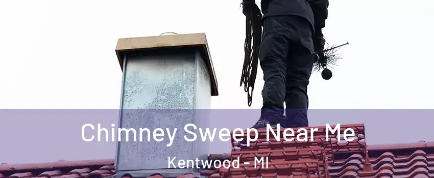  Chimney Sweep Near Me Kentwood - MI