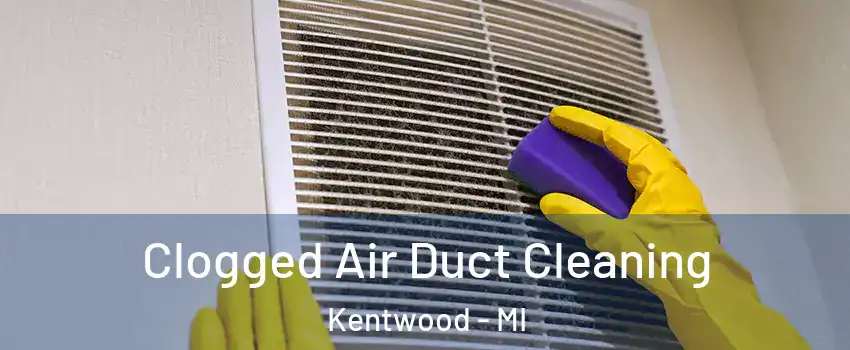  Clogged Air Duct Cleaning Kentwood - MI