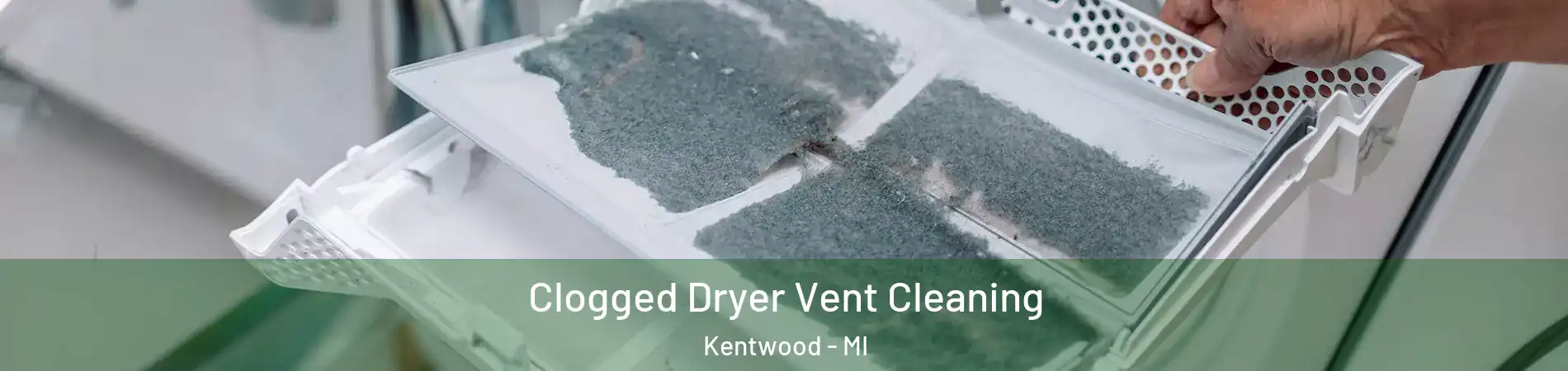  Clogged Dryer Vent Cleaning Kentwood - MI