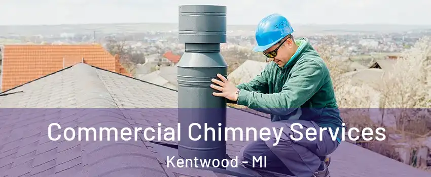  Commercial Chimney Services Kentwood - MI