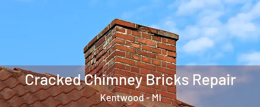  Cracked Chimney Bricks Repair Kentwood - MI
