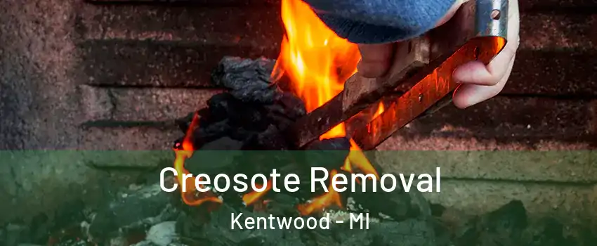  Creosote Removal Kentwood - MI