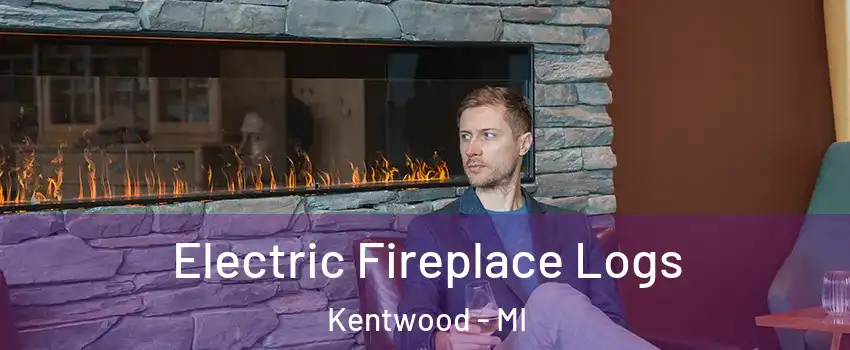  Electric Fireplace Logs Kentwood - MI