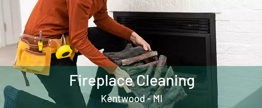  Fireplace Cleaning Kentwood - MI