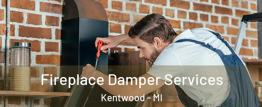  Fireplace Damper Services Kentwood - MI