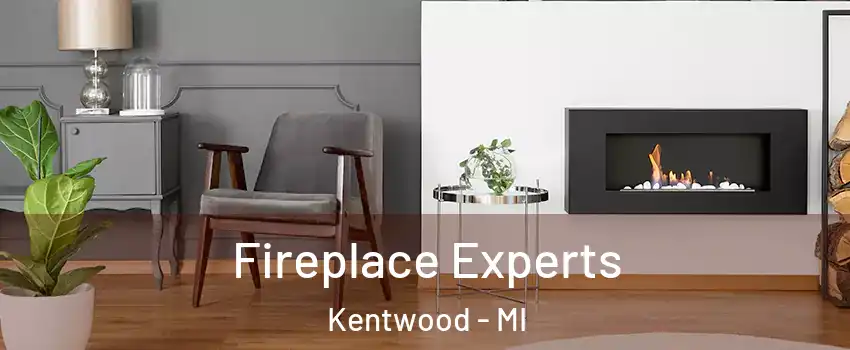  Fireplace Experts Kentwood - MI