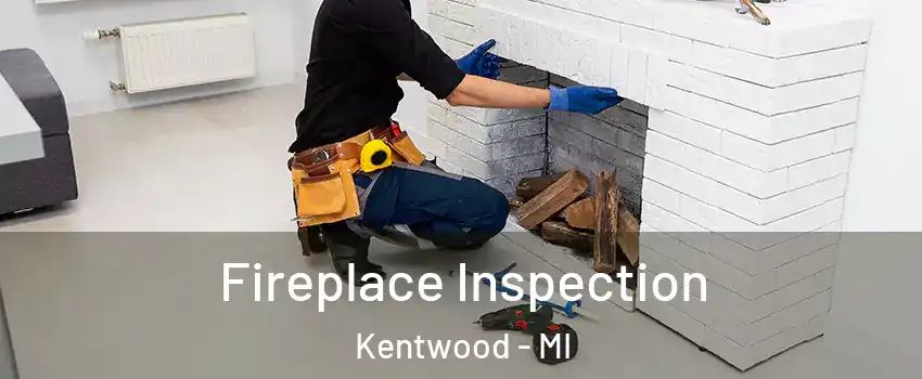 Fireplace Inspection Kentwood - MI