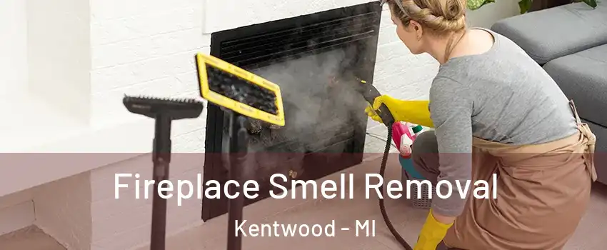  Fireplace Smell Removal Kentwood - MI