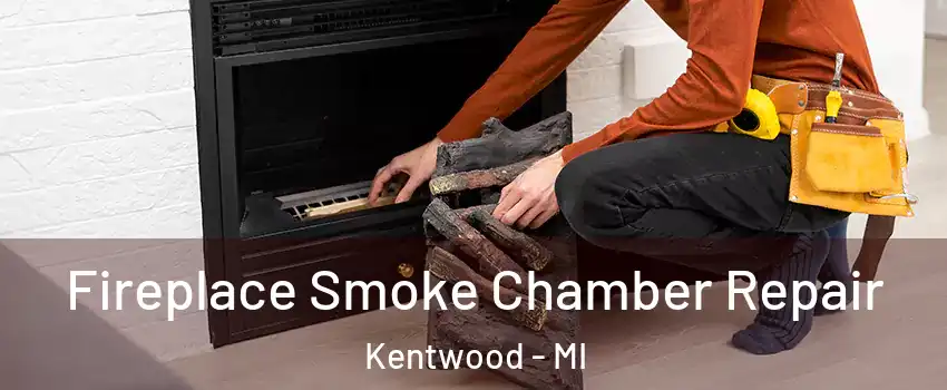  Fireplace Smoke Chamber Repair Kentwood - MI