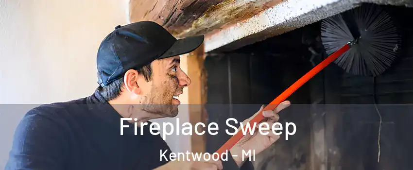  Fireplace Sweep Kentwood - MI
