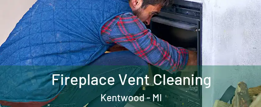  Fireplace Vent Cleaning Kentwood - MI