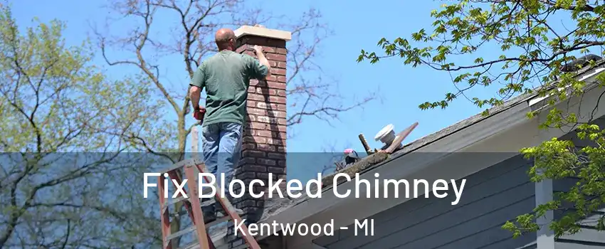  Fix Blocked Chimney Kentwood - MI