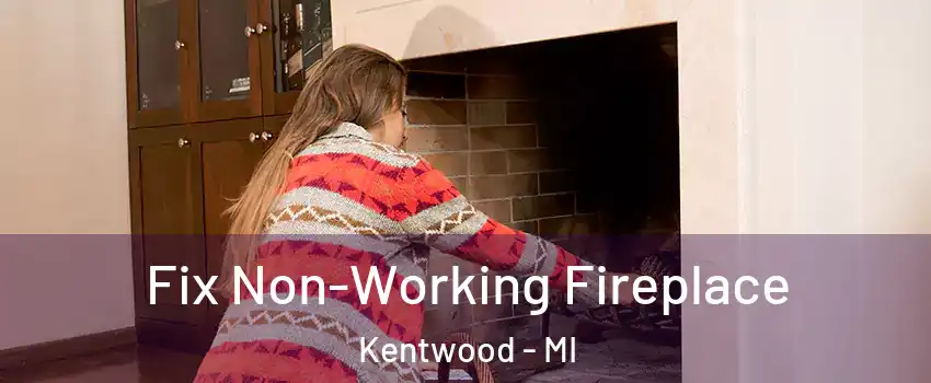  Fix Non-Working Fireplace Kentwood - MI