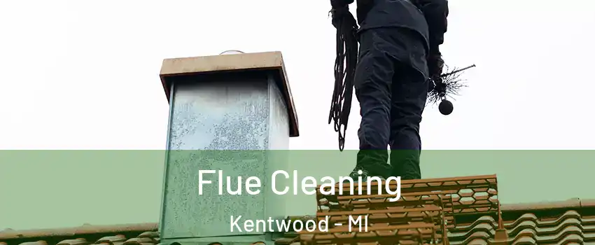  Flue Cleaning Kentwood - MI