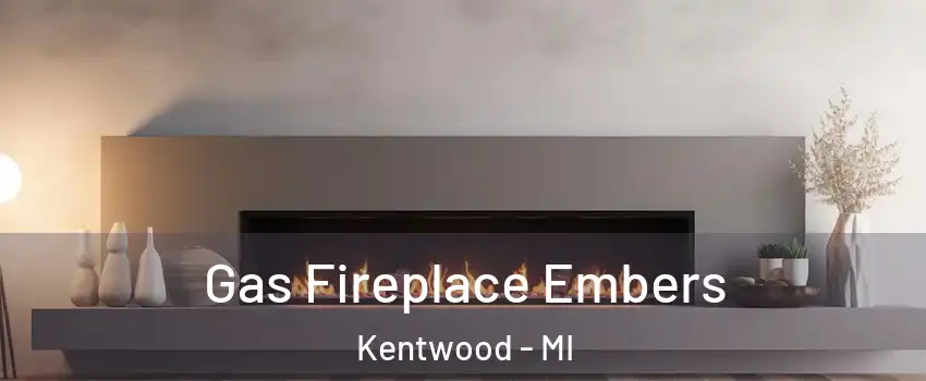  Gas Fireplace Embers Kentwood - MI
