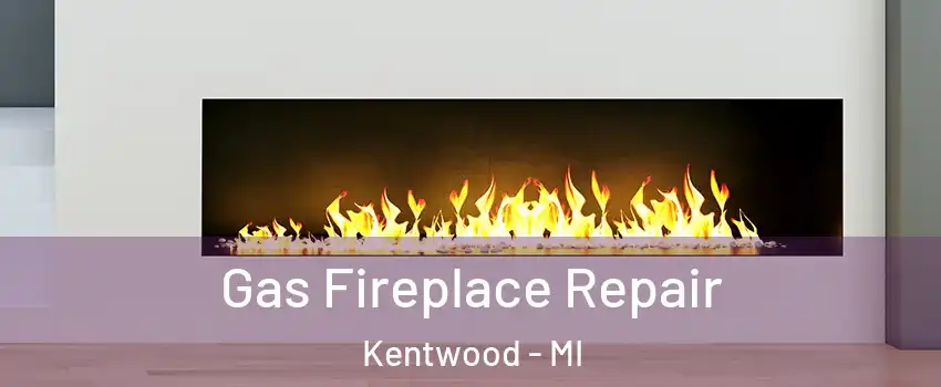  Gas Fireplace Repair Kentwood - MI