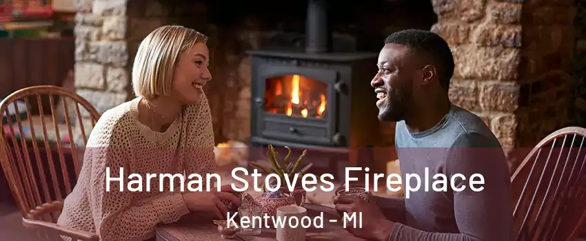  Harman Stoves Fireplace Kentwood - MI