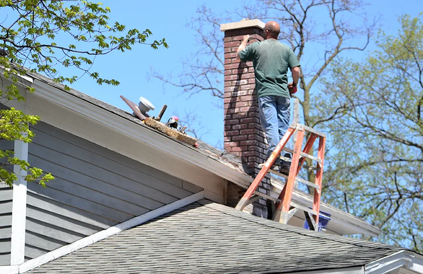 Chimney & Fireplace Inspections Services in Kentwood, MI