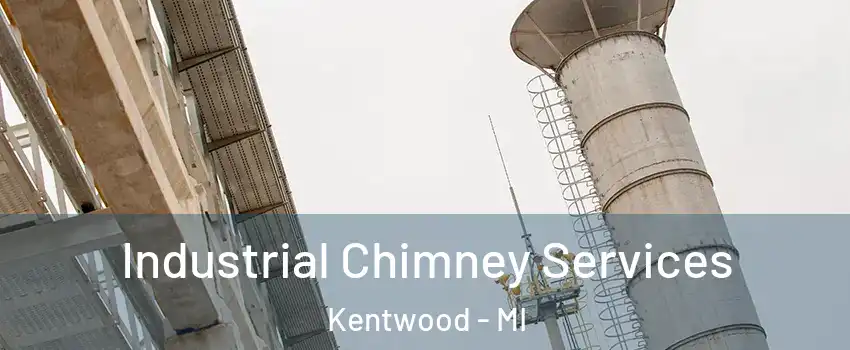  Industrial Chimney Services Kentwood - MI
