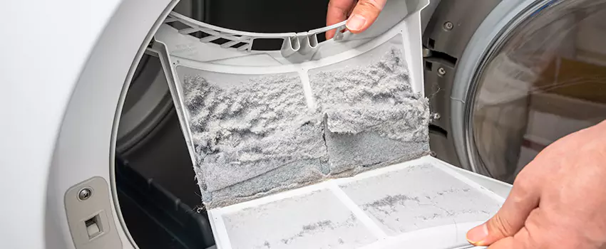 Best Dryer Lint Removal Company in Kentwood, Michigan