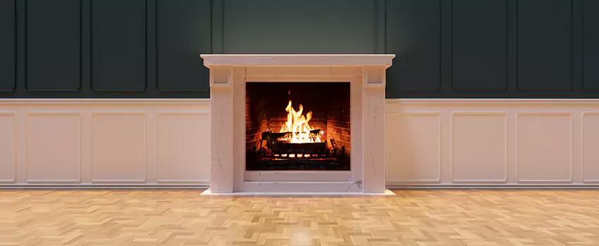 Napoleon Electric Fireplaces Inspection Service in Kentwood, Michigan
