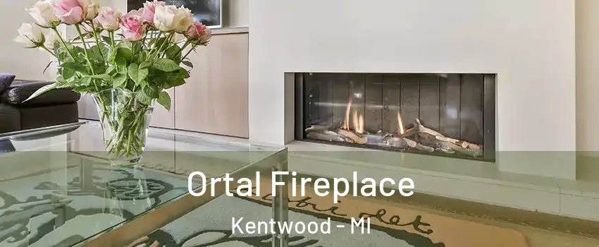 Ortal Fireplace Kentwood - MI