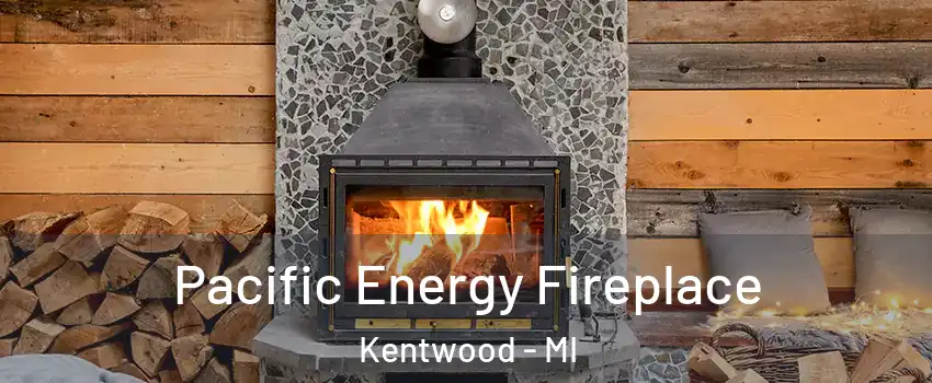  Pacific Energy Fireplace Kentwood - MI