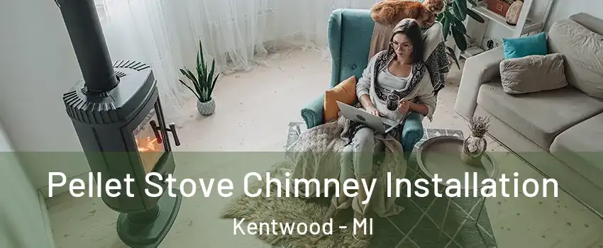 Pellet Stove Chimney Installation Kentwood - MI