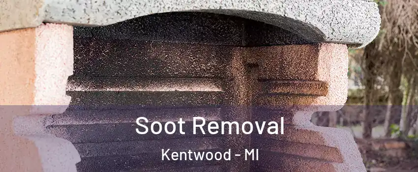  Soot Removal Kentwood - MI