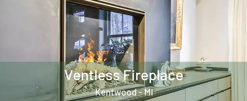  Ventless Fireplace Kentwood - MI