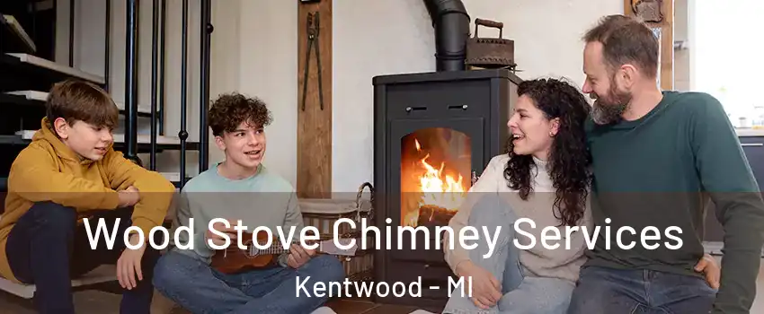  Wood Stove Chimney Services Kentwood - MI