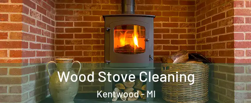  Wood Stove Cleaning Kentwood - MI
