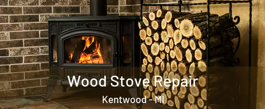  Wood Stove Repair Kentwood - MI